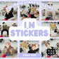 Stray Kids I.N Stickers